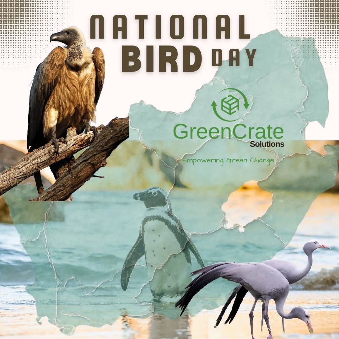 National Bird Day